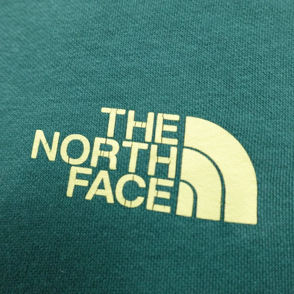 The North Face north face